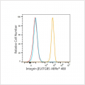 ABflo® 488 Rabbit anti-Human Integrin β5/ITGB5 mAb (100 T)