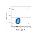 PE Rabbit anti-Human CD85j/ILT2 mAb (100 T)