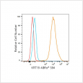 ABflo® 594 Rabbit anti-Human Cytokeratin 19 (KRT19) mAb (100 T)