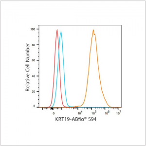 ABflo® 594 Rabbit anti-Human Cytokeratin 19 (KRT19) mAb (100 T)