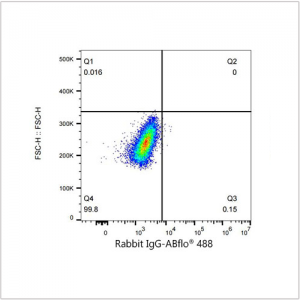 ABflo® 488 Rabbit anti-Human CD105/Endoglin mAb (100 T)