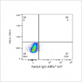 ABflo® 647 Rabbit anti-Human CD112/Nectin-2 mAb (100 T)