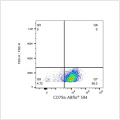 ABflo® 594 Rabbit anti-Human CD79a mAb (100 T)