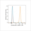 ABflo® 594 Rabbit anti-Human Cytokeratin 8 mAb (100 T)