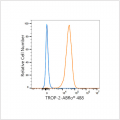 ABflo® 488 Rabbit anti-Human TROP-2 mAb (100 T)