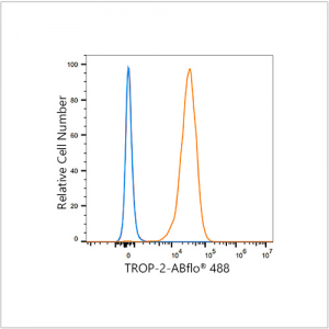 ABflo® 488 Rabbit anti-Human TROP-2 mAb (100 T)