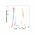ABflo® 647 Rabbit anti-Human TROP-2 mAb (100 T)