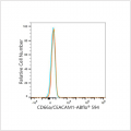 ABflo® 594 Rabbit anti-Human CD66a/CEACAM1 mAb (100 T)