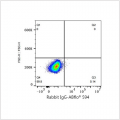 ABflo® 594 Rabbit anti-Human Podoplanin mAb (100 T)