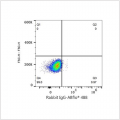 ABflo® 488 Rabbit anti-Human CD270/HVEM mAb (100 T)