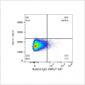 ABflo® 647 Rabbit anti-Human CD84 mAb (100 T)