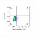 ABflo® 594 Rabbit anti-Human CD97 mAb (100 T)
