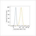 ABflo® 594 Rabbit anti-Human CEACAM5/CD66e mAb (100 T)