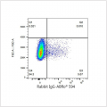 ABflo® 594 Rabbit anti-Human ICAM-1/CD54 mAb (100 T)