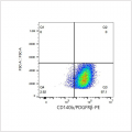 PE Rabbit anti-Human CD140b/PDGFRβ mAb (100 T)