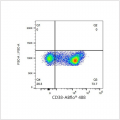 ABflo® 488 Rabbit anti-Mouse CD38 mAb (100 T)