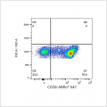 ABflo® 647 Rabbit anti-Mouse CD38 mAb (100 T)
