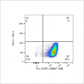 ABflo® 488 Rabbit anti-Human PU.1/SPI1 mAb (100 T)