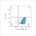 ABflo® 647 Rabbit anti-Human PU.1/SPI1 mAb (100 T)