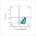 ABflo® 594 Rabbit anti-Human PU.1/SPI1 mAb (100 T)