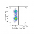 ABflo® 488 Rabbit anti-Human CD185/CXCR5 mAb (100 T)