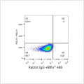 ABflo® 488 Rabbit anti-Human CD75 mAb (100 T)
