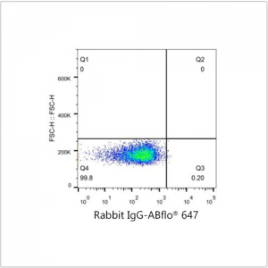 ABflo® 647 Rabbit anti-Human CD75 mAb (100 T)