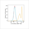ABflo® 488 Rabbit anti-Human ILT5/CD85a mAb (100 T)