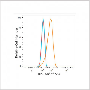 ABflo® 594 Rabbit anti-Human Megalin/LRP2 mAb (100 T)