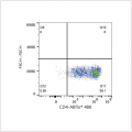 ABflo® 488 Rabbit anti-Mouse CD4 mAb (100 T)