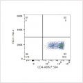 ABflo® 594 Rabbit anti-Mouse CD4 mAb (100 T)
