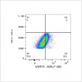 ABflo® 488 Rabbit anti-Human MERTK mAb (100 T)