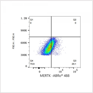 ABflo® 488 Rabbit anti-Human MERTK mAb (100 T)