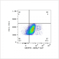 ABflo® 647 Rabbit anti-Human MERTK mAb (100 T)