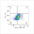 ABflo® 594 Rabbit anti-Human MERTK mAb (100 T)