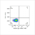 ABflo® 488 Rabbit anti-Human CD263/TRAIL-R3 mAb (100 T)