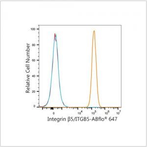 Integrin β5/ITGB5 Rabbit mAb (100 μL)
