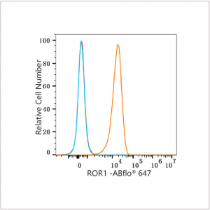 ROR1 Rabbit mAb (100 μL)