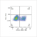 ABflo® 488 Rabbit anti-Human ENPP3/CD203c mAb (100 T)