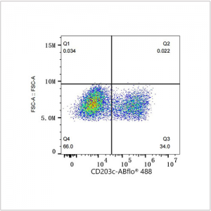 ABflo® 488 Rabbit anti-Human ENPP3/CD203c mAb (100 T)