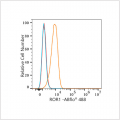 ABflo® 488 Rabbit anti-Human ROR1 mAb (100 T)