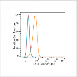 ABflo® 488 Rabbit anti-Human ROR1 mAb (100 T)