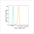 ABflo® 647 Rabbit anti-Human ROR1 mAb (100 T)