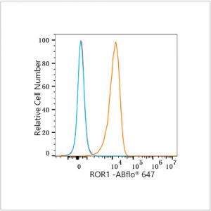ABflo® 647 Rabbit anti-Human ROR1 mAb (100 T)