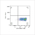 ABflo® 488 Rabbit anti-Mouse CD4 mAb (100 T)