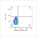ABflo® 647 Rabbit anti-Human IL8 mAb (100 T)
