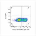 ABflo® 488 Rabbit anti-Human TNFRSF10D/TRAILR4 mAb (100 T)