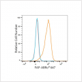 ABflo® 647 Rabbit anti-Human FAP mAb (100 T)