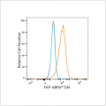 ABflo® 594 Rabbit anti-Human FAP mAb (100 T)