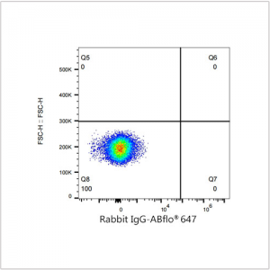 TNFRSF10D/TRAILR4 Rabbit mAb (20 μL)